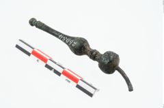 Foto von Bronzenadelspitzenschoner (NHMW-PRAE-026054)